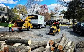 Lawn Grading and Leveling in Coto De Caza, CA